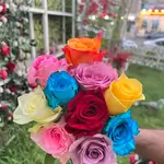 Single Flowers - Colorful